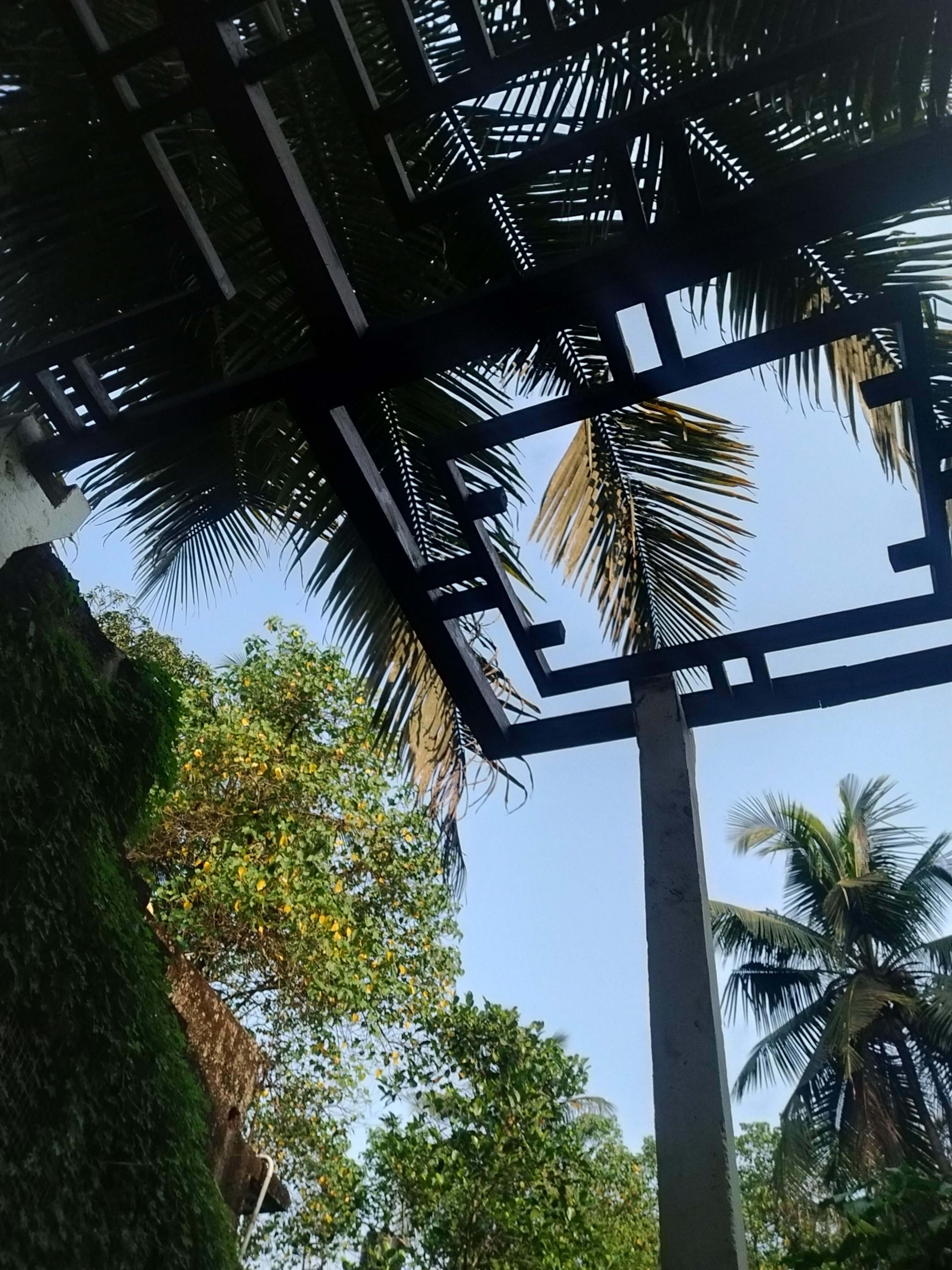 Outdoor heated shower surrounded by greenery in Arambol villa